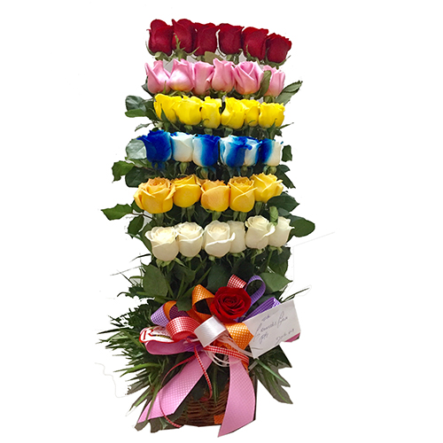 36 Rosas Multicolor, diseñada en forma escalonada