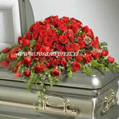 Manto fúnebre de Lux de 50 Rosas