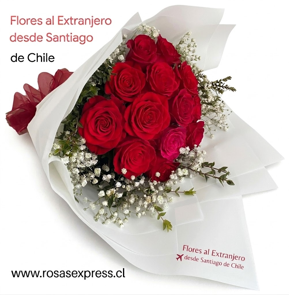 flores al extranjero desde Santiago de Chile 8