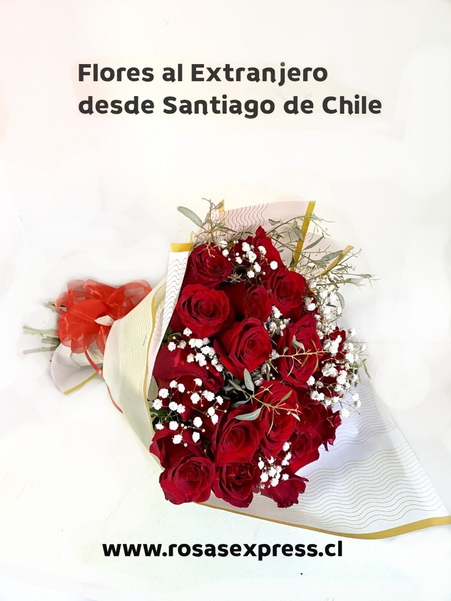 ROSAS AL EXTRANJERO 18 ROSAS (2) - copia